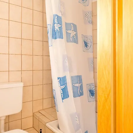 Strand-zeit Muschel 3 * Kellenhusen